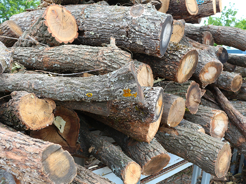 Съобщение на ТП ДГС Гурково, относно цената на дървата за огрев за отоплителен сезон 2022-2023 за лицата от одобрените списъци на общините Николаево и Гурково image
