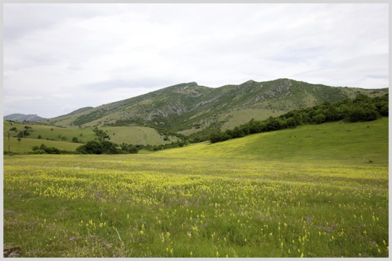 Пасища и мери от общински поземлен фонд, определени за общо и индивидуално ползване за календарната 2027 г. image