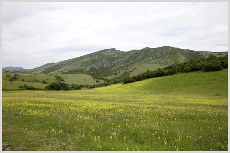 Заседание на Комисията по чл. 37и, ал.7 от ЗСПЗЗ за разпределяне на пасища, мери и ливади от държавния и общинския поземлен фонд - за 14.04.2026 г. image