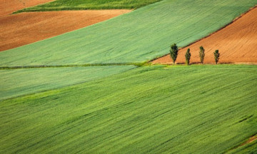 Снимка Обявление от Общинска служба по земеделие гр. Мъглиж за изготвени предварителни регистри на земеделските земи за стопанската 2022-2023 година