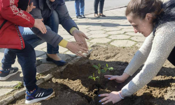 Снимка Община Николаево в подкрепа на Роза дамасцена