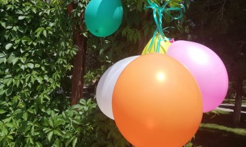 Снимка Първи юни - Ден на детето в община Николаево