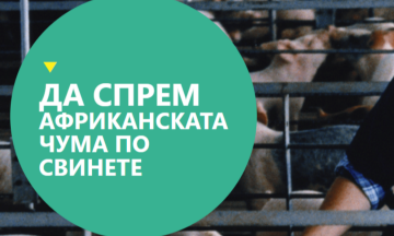 Снимка На вниманието на стопаните, отглеждащи свине! Кампания на МЗХ &bdquo;Да спрем Африканската чума по свинете&ldquo; 2023 г.
