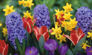 Снимка Покана за празника на с. Нова махала - "Цветница" - 09.04.2023 г.