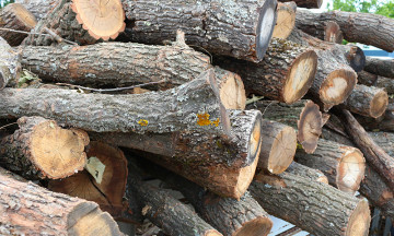 Снимка Записване на дърва за огрев за отоплителен  сезон 2022-2023 г.