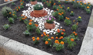 Снимка Пролетно обновяване на градинките пред сградата на Община Николаево - в очакване на Цветница и Великден