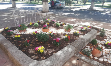 Снимка Цветно-есенно