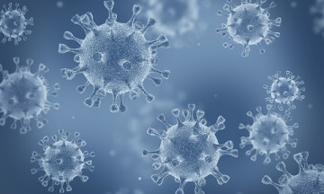 Снимка Нова Заповед на Кмета на Община Николаево във връзка с COVID-19