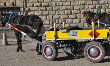 Снимка Важно съобщение за собствениците на каруци