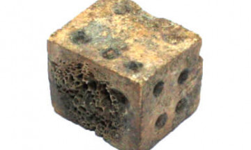 Костено зарче.jpg