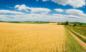 Снимка На вниманието на земеделските стопани, обработващи земеделски земи в землищата на община Николаево, и сключили споразумения за ползването им по чл. 37в от ЗСПЗЗ за стопанската 2024-2025 година