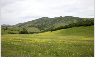 Снимка Заседание на Комисията по чл. 37и, ал.7 от ЗСПЗЗ за разпределяне на пасища, мери и ливади от държавния и общинския поземлен фонд - за 14.04.2026 г.