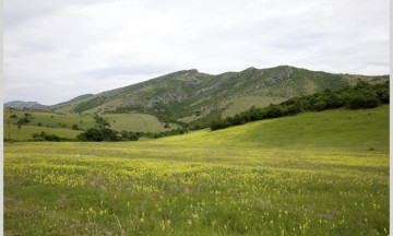 Снимка Пасища и мери за общо и индивидуално ползване през стопанската 2024-2025 г.