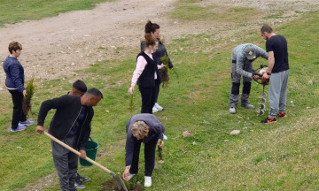 Снимка Залесяване в община Николаево