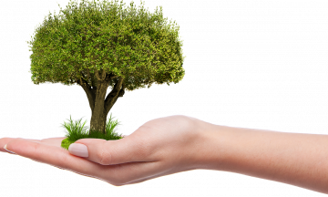 Снимка Залесяване в община Николаево с дръвчета, дарени от Гората.бг