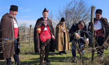 Снимка От лоза - грозде, по бакър - вино: В община Николаево върнаха ритуал на Трифон Зарезан отпреди 30 години