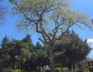 Проект Социално включване